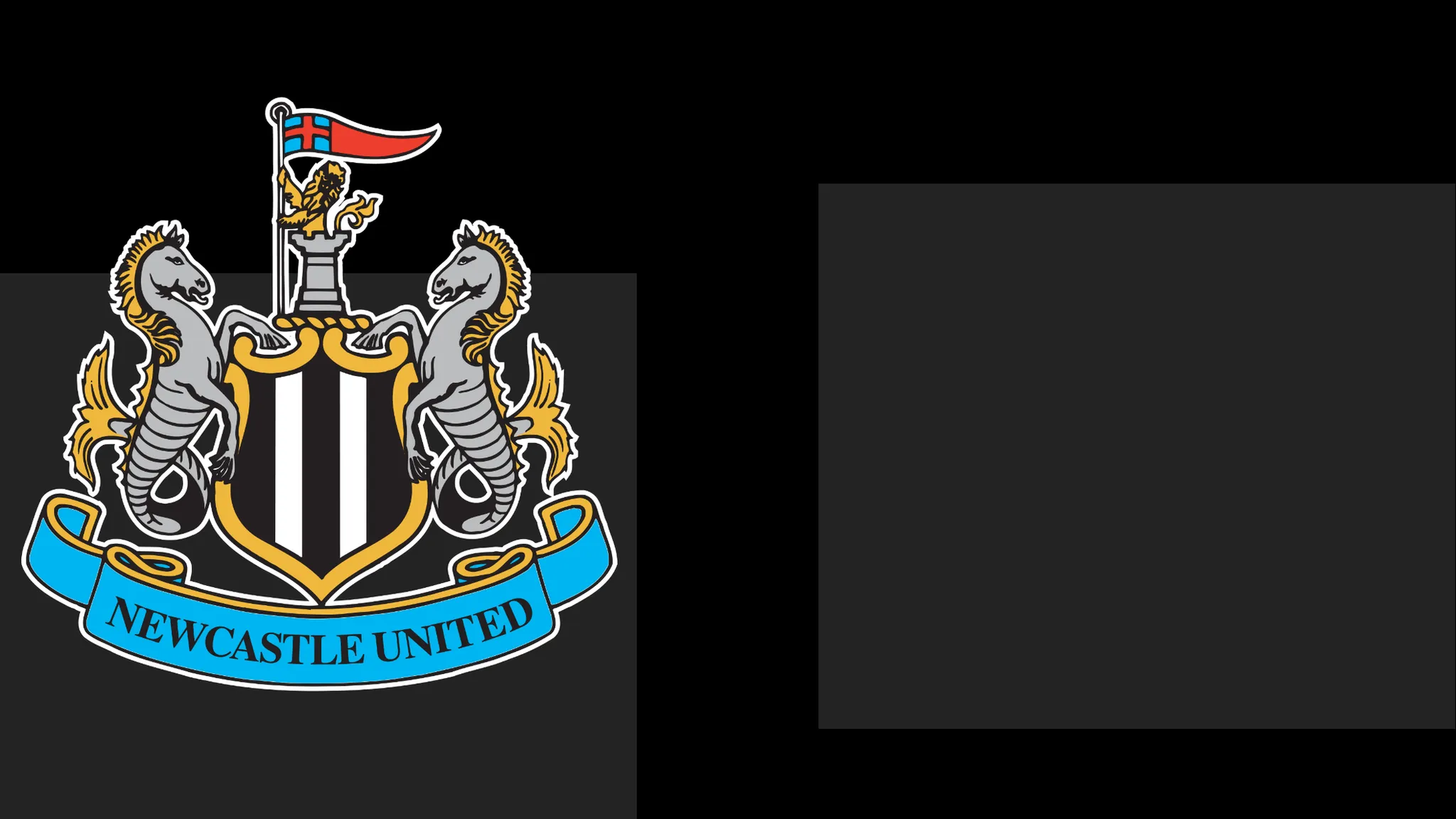 Newcastle's boss Commends Team's Heart – Yet That Only Carries Them To a Point