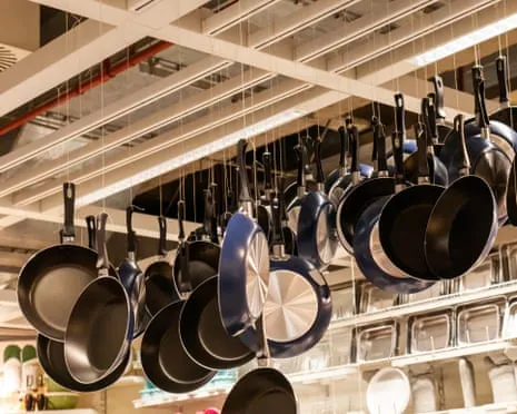 Teflon Diet, Garlic Milk and Striped Cattle Excel at 2025 Alternative Science Honors